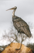 Reiger